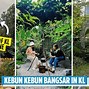 Kebun Bangsar